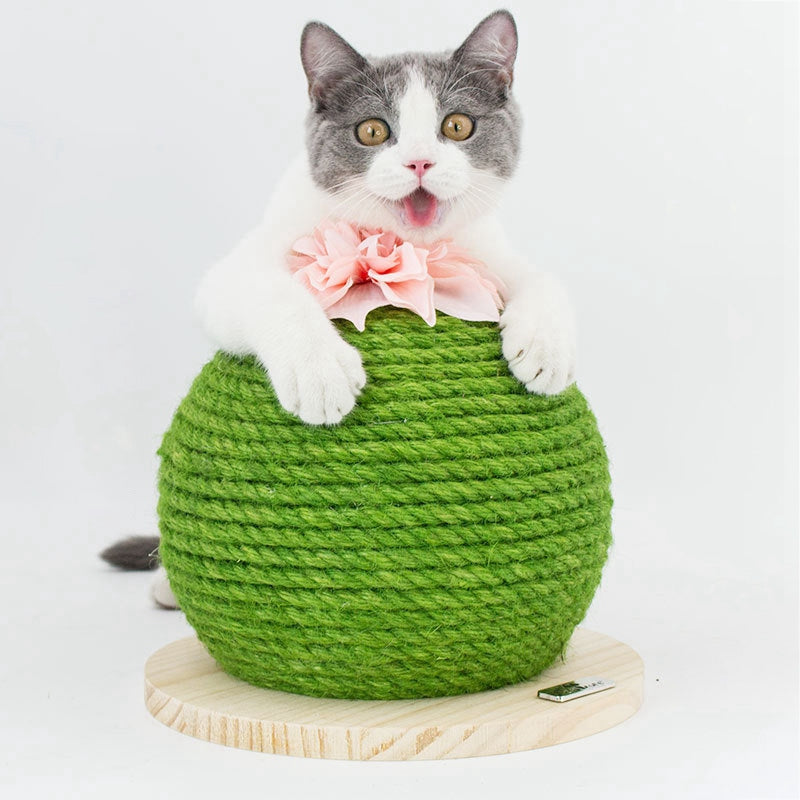 Katzenkratzball - Kaktus Katzen Klettergerüst: Sicherer Spielspaß für Ihre Katze!