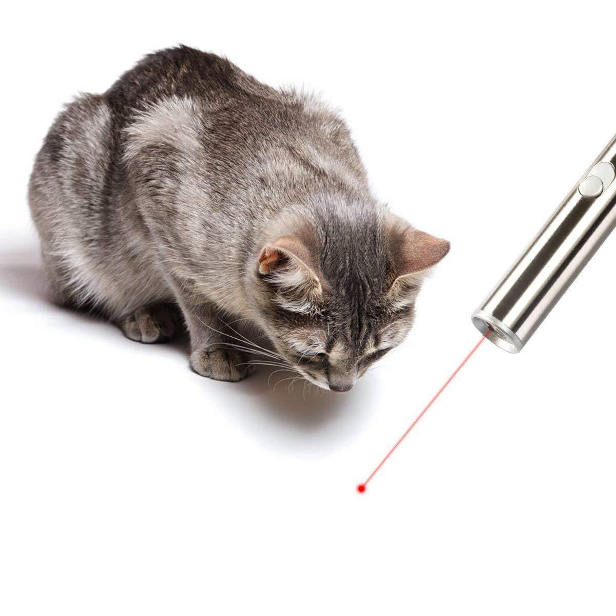 Laserpointer