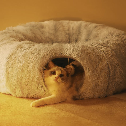 Katzenbett/Katzentunnel: Sicherer Rückzugsort für Ihre Katze.