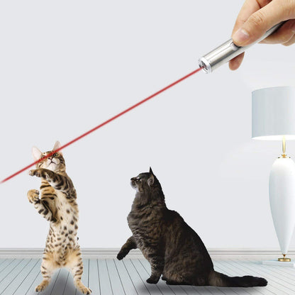 Laserpointer