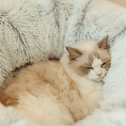 Katzenbett/Katzentunnel: Sicherer Rückzugsort für Ihre Katze.