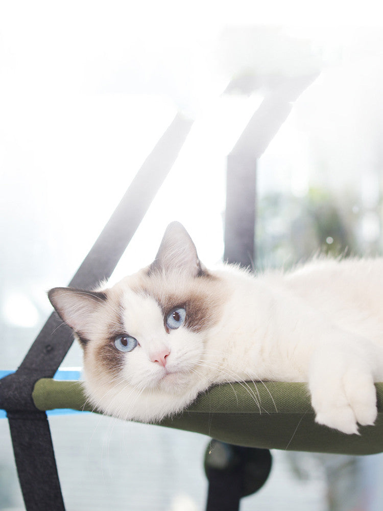 Katzenbett - Fensterbett für die Katze