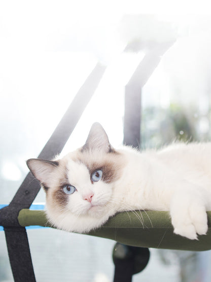 Fensterbett für die Katze